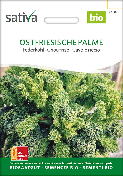 Grønkål - OSTFRIESISCHE PALME (Brassica oleracea var. sabellica) - grønkålfrø - økofrø - øko- grøntsagsfrø - kålfrø