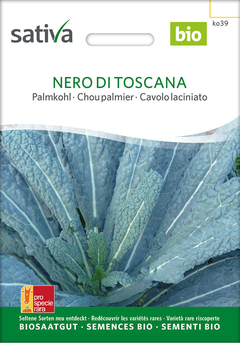 Palmekål - NERO DI TOSCANA (Brassica oleracea var. sabellica) - kålfrø - palmekålfrø - økofrø - grøntsagsfrø