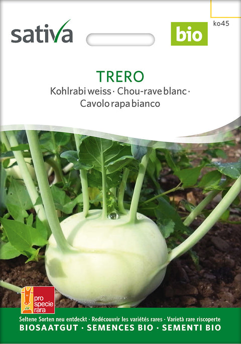 Kålrabi - TRERO (Brassica oleracea var. gongylodes) - kålrabifrø - grøntsagsfrø - økofrø - øko