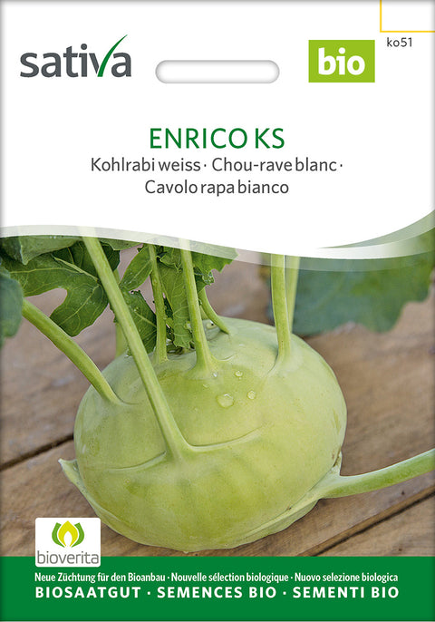 Kålrabi - ENRICO KS (Brassica oleracea var. gongylodes) - økofrø - kålrabifrø - glaskål - grøntsagsfrø