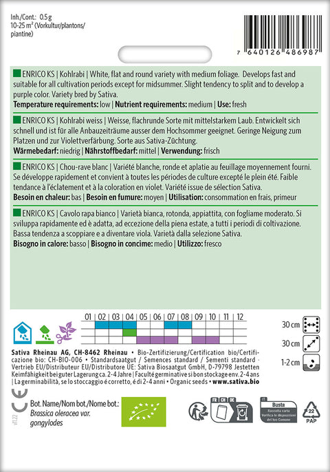 Kålrabi - ENRICO KS (Brassica oleracea var. gongylodes) Økologiske frø