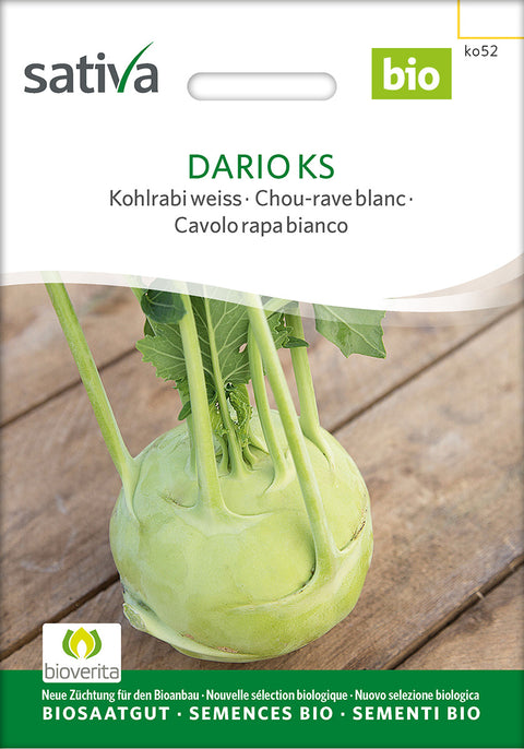 Kålrabi - DARIO KS (Brassica oleracea var. gongylodes) - økofrø - øko - grømtsagsfrø - kålrabifrø