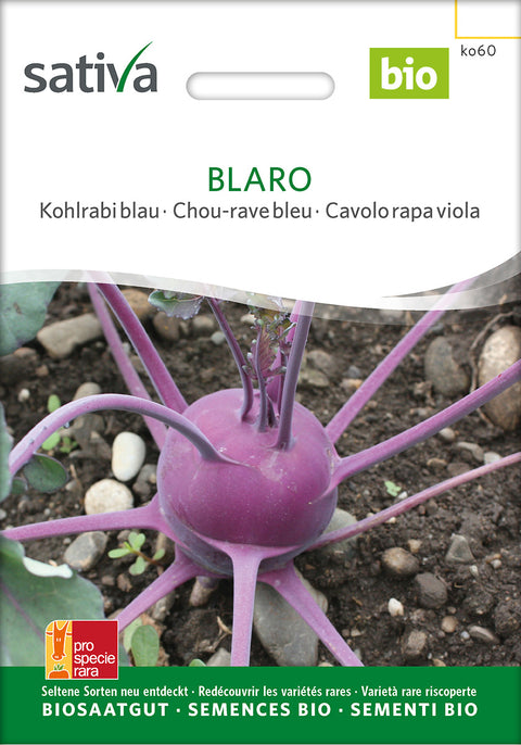 Kålrabi - BLARO (Brassica oleracea var. gongylodes) - økofrø - grøntsagsfrø - kålrabifrø