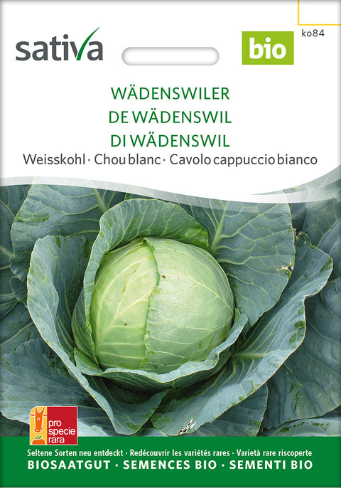 Hvidkål - WÄDENSWILER (Brassica oleracea convar. capitata) - økofrø -økologiske frø - grøntsagsfrø - kålfrø