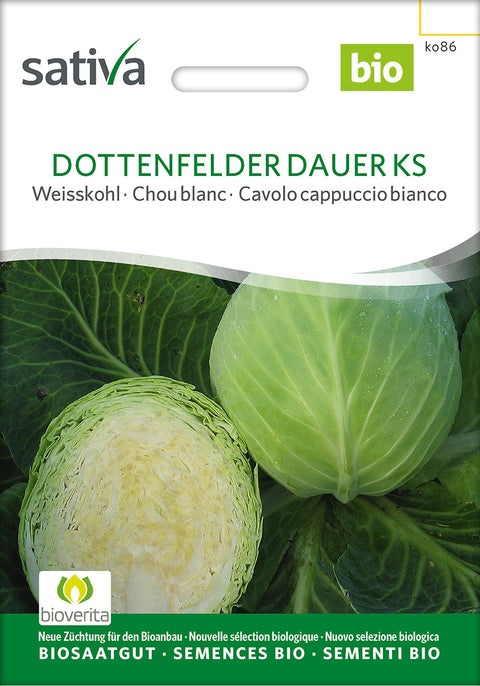 Hvidkål - DOTTENFELDER DAUER KS (Brassica oleracea convar. capitata) - økofrø - økologiske frø - grøntsagsfrø - hvidkål frø