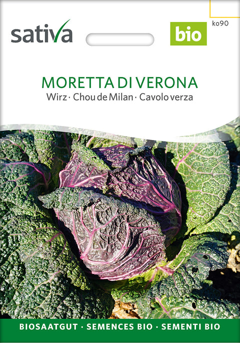 Kål - MORETTA DI VERONA (Brassica oleracea convar. capitata) Økologiske frø