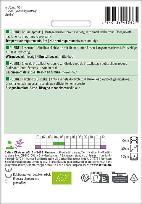 Rosenkål - RUBINE (Brassica oleracea var. gemmifera) Økologiske frø
