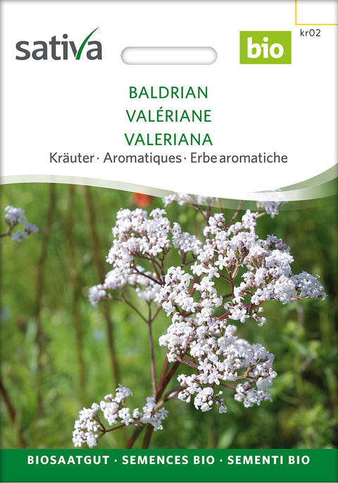 Baldrian - Lægeplante - VALERIAN (Valeriana officinalis) øko  - økofrø