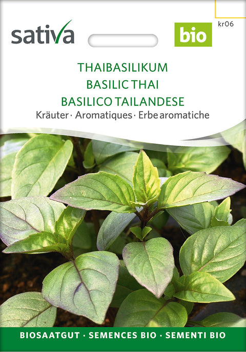 Basilikum - Thaibasilikum (Ocimum basilicum) - øko - urtefrø