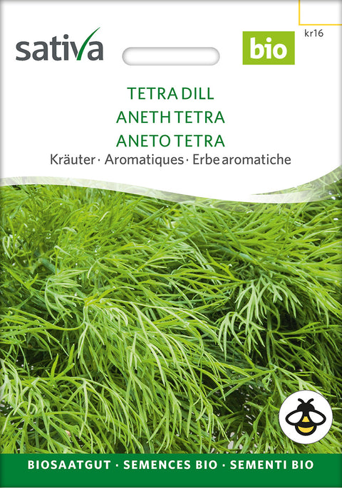 Dild - Bladdild - TETRA DILL (Anethum graveolens) - urtefrø - øko