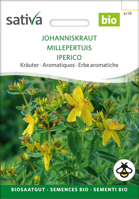 Prikbladet Perikon - Lægeplante - ST. JOHN'S WORT (Hypericum perforatum) - øko