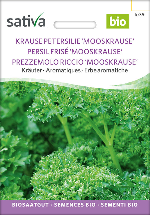 Persille - MOOSKRAUSE (Petroselinum crispum) - økofrø - økologiske frø -urtefrø