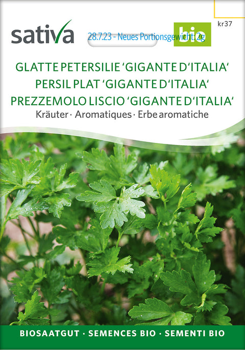 Persillie - Bladpersilie - PARSLEY 'GIGANTE D'ITALIA' (Petroselinum crispum) - urtefrø - øko