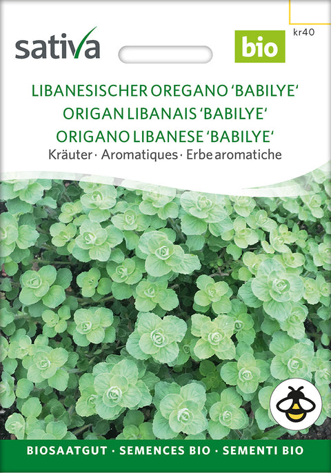 Oregano - LEBANESE OREGANO 'BABILYE' (Origanum syriacum) - urtefrø - øko