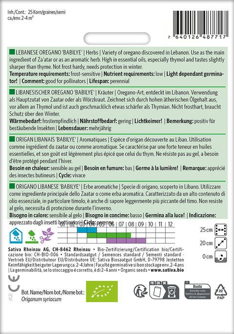 Oregano - LEBANESE OREGANO 'BABILYE' (Origanum syriacum) Økologiske frø