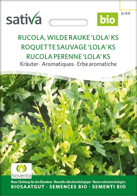 Ruccola - ROCKET, PERENNIAL 'LOLA' KS (Diplotaxis tenuifolia) Økologiske frø