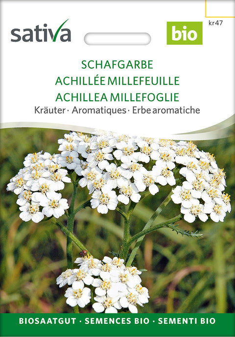 Røllike - Lægeplantefrø - YARROW (Achillea millefolium) - øko