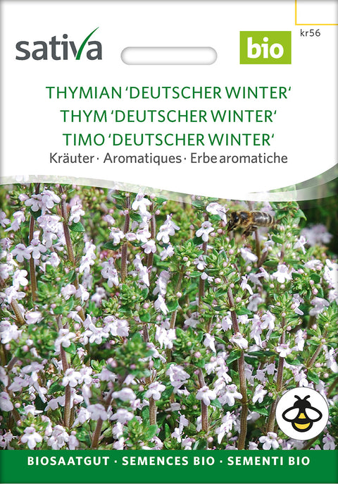 Timian - Havetimian - THYME 'DEUTSCHER WINTER´ (Thymus vulgaris) urtefrø - øko