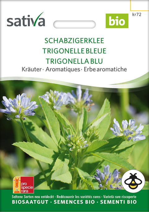 Trigonella Caerulea - Lægeplantefrø - BLUE FENUGREEK (Trigonella caerulea) - øko