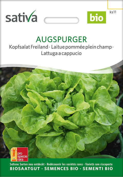 Salat - AUGSPURGER (Lactuca sativa) - økofrø - økologiske frø - grøntsagsfrø