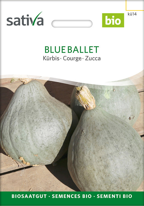 Græskar - BLUE BALLET (Cucurbita maxima) - økofrø - økologiske frø - grøntsagsfrø