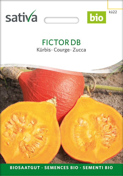 Græskar - FICTOR DB (Cucurbita maxima) - grøntsagsfrø - økofrø - økologiske frø