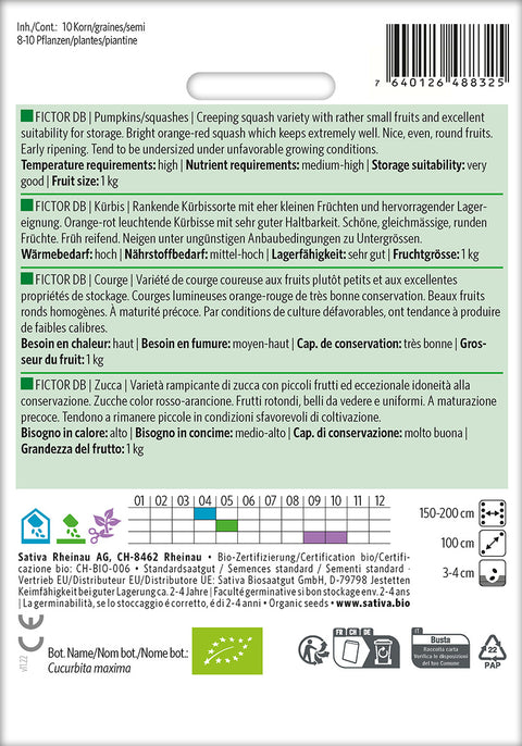 Græskar - FICTOR DB (Cucurbita maxima) Økologiske frø