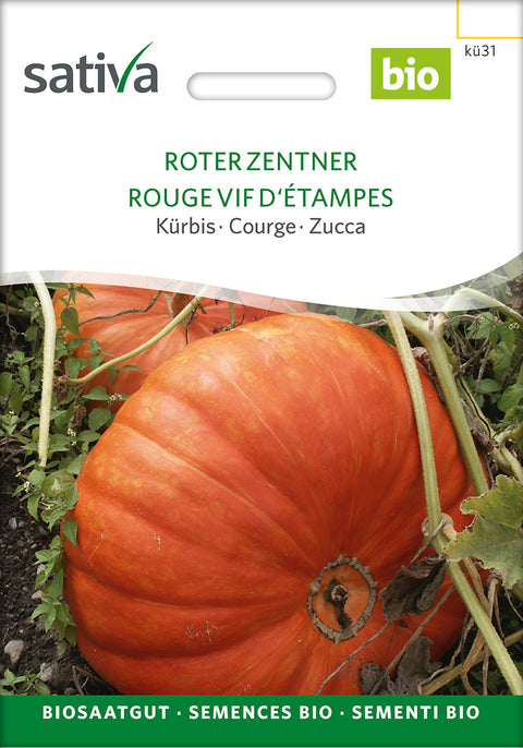 Græskar - ROTER ZENTNER (Cucurbita maxima) - økofrø - økologiske frø - grøntsagsfrø