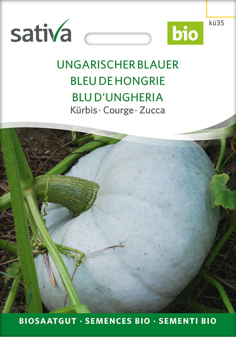 Græskar - HUNGARIAN BLUE (Cucurbita maxima) - økofrø - økologiske frø - grøntsagsfrø