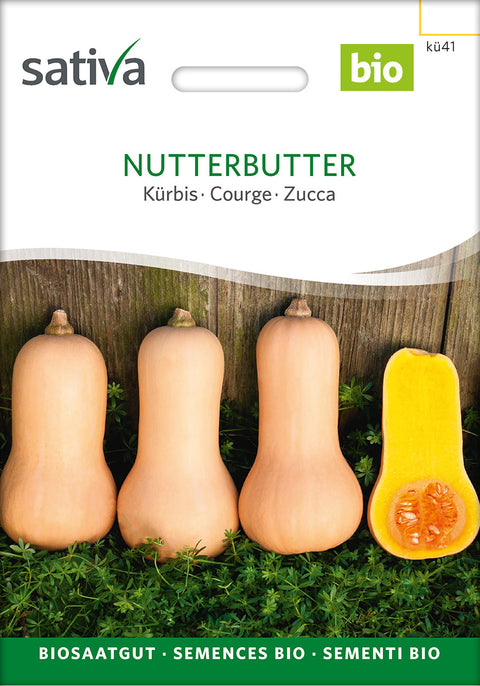 Græskar - NUTTERBUTTER (Cucurbita moschata) - økofrø - økologiske frø - græskarfrø - grøntsagsfrø