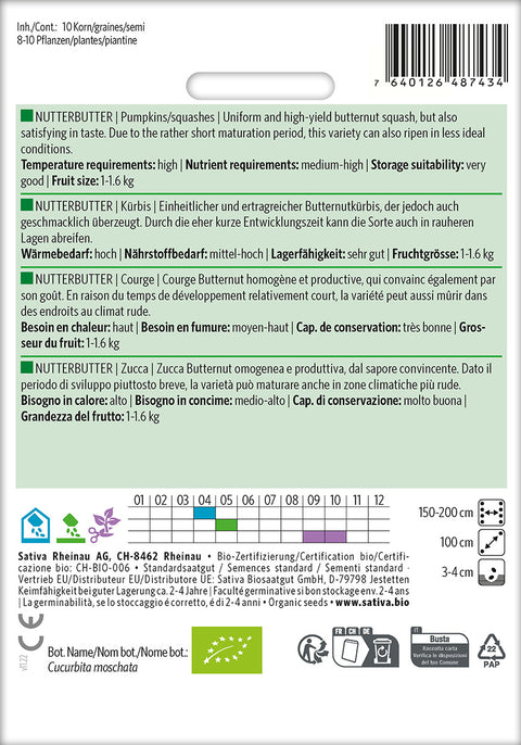 Græskar - NUTTERBUTTER (Cucurbita moschata) Økologiske frø