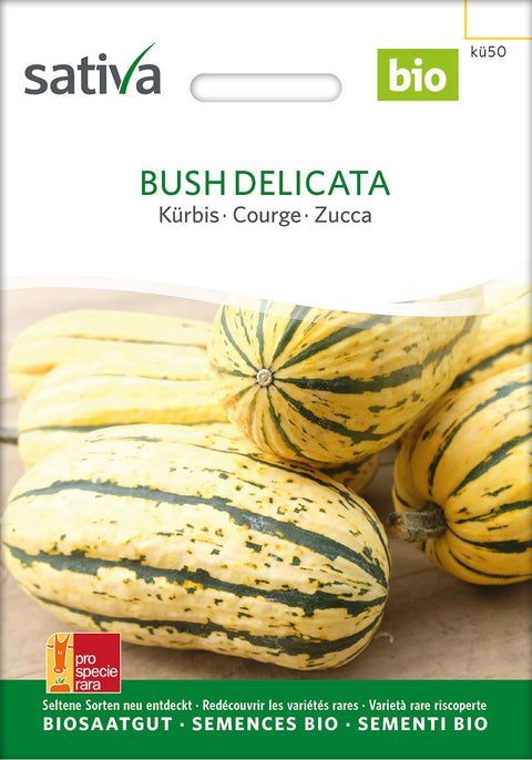 Græskar - BUSH DELICATA (Cucurbita pepo) - økofrø - økologiske frø - grøntsagsfrø