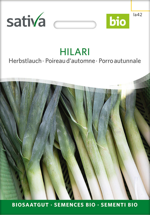 Porre - HILARI (Allium porrum) - økofrø - grøntsagsfrø - økologiske frø - porrefrø