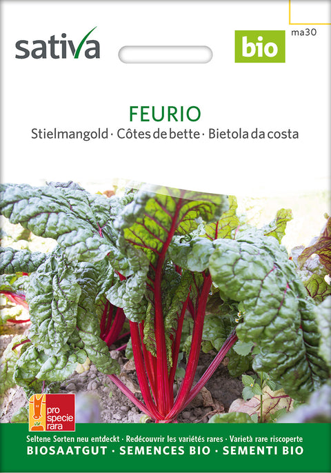 Mangold - FEURIO (Beta vulgaris var. flavescens) - økofrø - økologiske frø - grøntsagsfrø