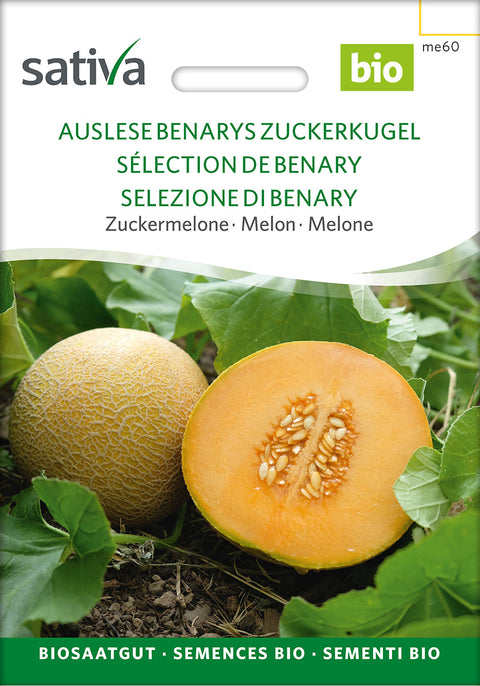 Melon Cantaloupe - SELECTION OF BENARY (Cucumis melo) - grøntsagsfrø - øko frø - økologiske frø - melonfrø