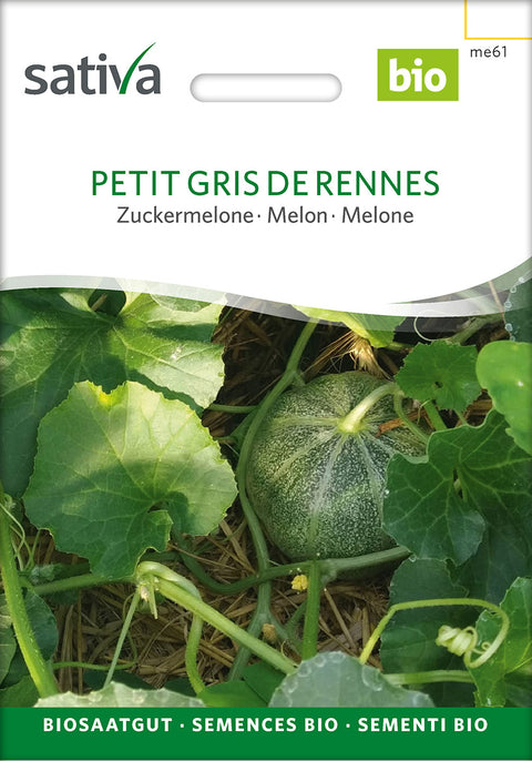 Melon cantaloupe - PETIT GRIS DE RENNES (Cucumis melo)