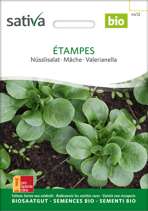 Salat - ÉTAMPES (Valerianella locusta) - økologiske frø - økofrø - grøntsagsfrø - salatfrø