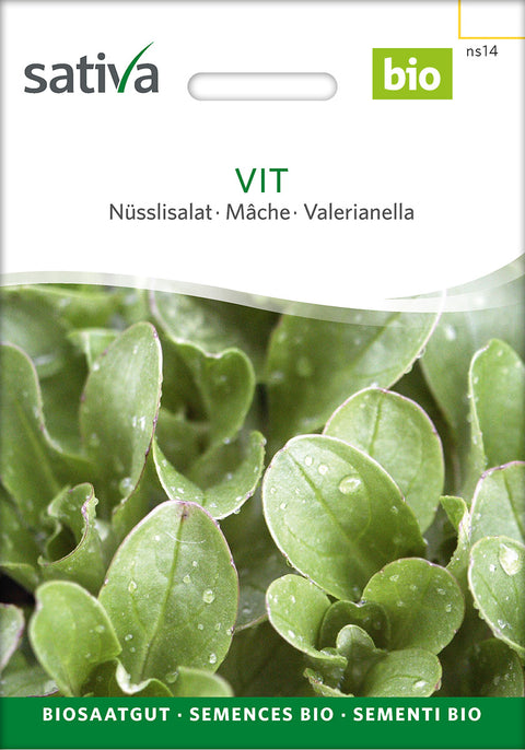 Feldsalat/Vårsalat - VIT (Valerianella locusta) - økofrø - grøntsagsfrø - økologiske frø