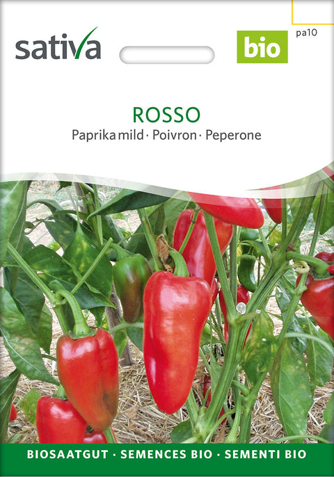 Peberfrugt - ROSSO (Capsicum annuum) - grøntsagsfrø - peberfrugtfrø- økofrø - øko