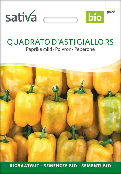 Peberfrugt - QUADRATO D'ASTI GIALLO RS (Capsicum annuum) - peberfrugtfrø - økofrø- grøntsagsfrø - øko