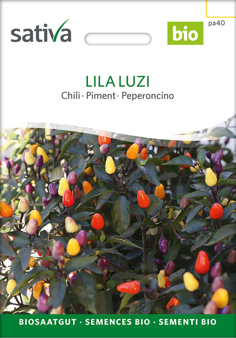 Chili - LILA LUZI (Capsicum frutescens) - økofrø - grøntsagsfrø - øko - chilifrø