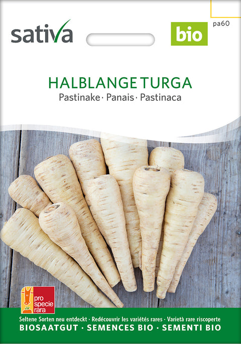 Pastinak - HALBLANGE TURGA (Pastinaca sativa) - pastinakfrø - økofrø - økologiske frø - grøntsagsfrø