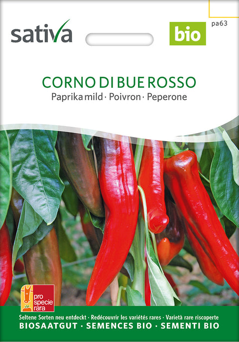 Paprika - CORNO DI BUE ROSSO (Capsicum annuum) - capsikumfrø - paprikafrø - øko - økofrø