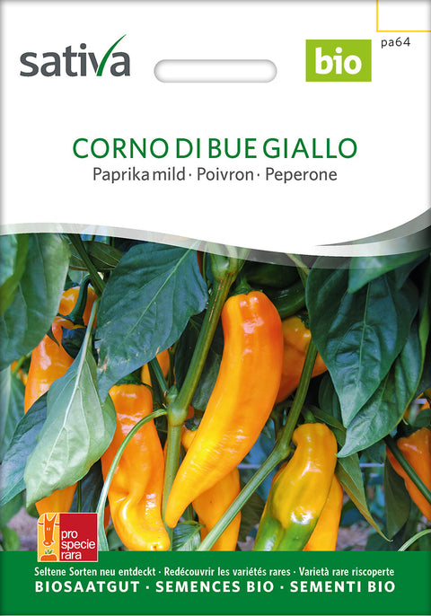 Chili - CORNO DI BUE GIALLO (Capsicum annuum) - chilifrø - økofrø - øko