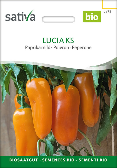 Peberfrugt 'Lucia KS' (Capsicum annuum) - Økologiske Frø