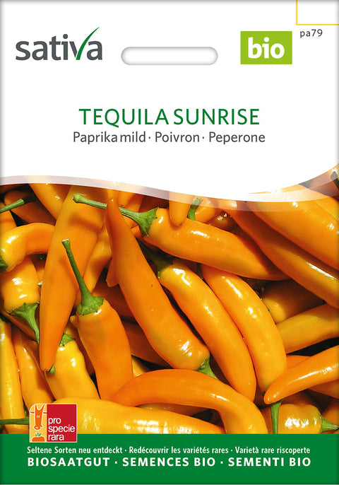 Paprika - TEQUILA SUNRISE (Capsicum annuum) - paprikafrø - capsikumfrø- peberfrø - økofrø - øko - grøntsagsfrø