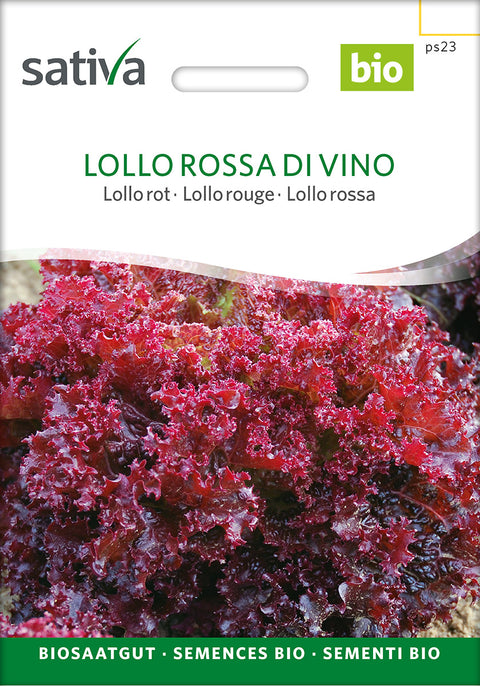 Salat - LOLLO ROSSA DI VINO (Lactuca sativa) -økofrø - salatfrø - grøntsagsfrø - økologiske frø