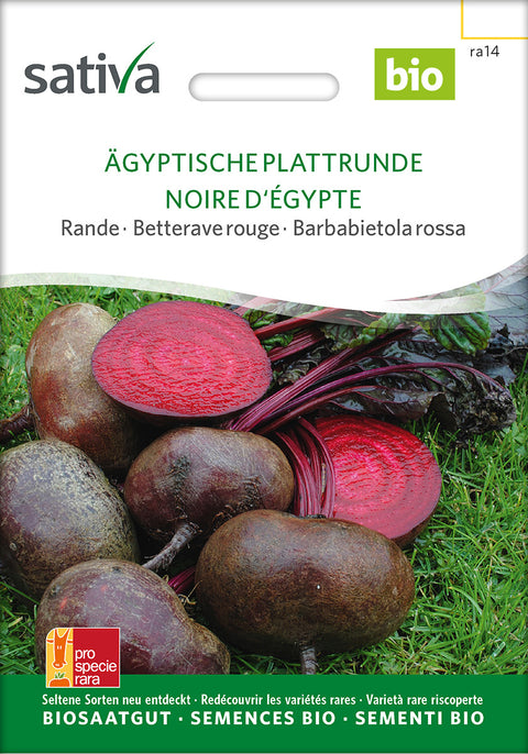 Rødbede - ÄGYPTISCHE PLATTRUNDE (Beta vulgaris conditiva) - økofrø - økologiske frø - grøntsagsfrø