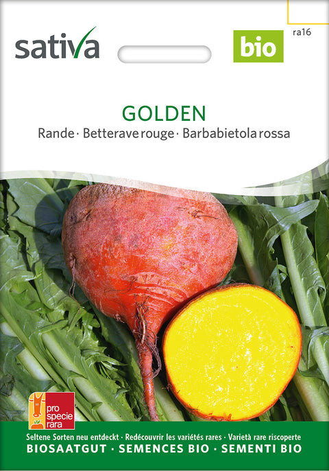 Rødbede - GOLDEN (Beta vulgaris conditiva) - økofrø - økologiske frø - grøntsagsfrø