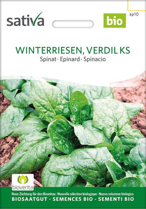 Spinat - WINTER GIANTS, VERDIL KS (Spinacia oleracea) - økofrø - spinatfrø - økologiske frø - grøntsagsfrø